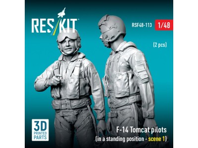 F-14 Tomcat pilots (in a standing position - scene 1) (2 pcs) (3D Printed) 