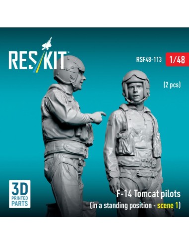 F-14 Tomcat pilots (in a standing position - scene 1) (2 pcs) (3D Printed) 