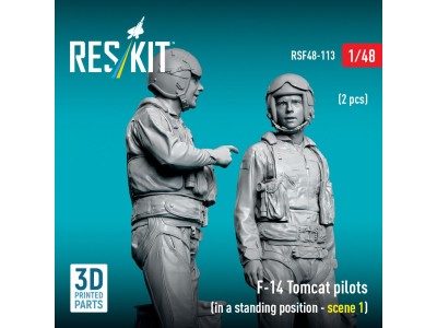 F-14 Tomcat pilots (in a standing position - scene 1) (2 pcs) (3D Printed) 
