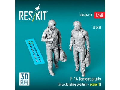 F-14 Tomcat pilots (in a standing position - scene 1) (2 pcs) (3D Printed) 