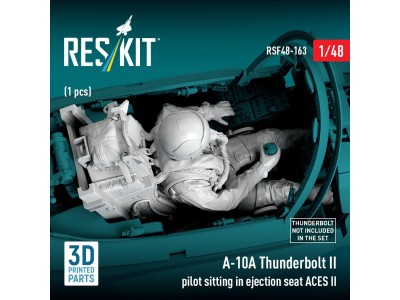 A-10A Thunderbolt II pilot sitting in ejection seat ACES II (1 pcs) (3D Printed) 