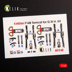 F-14B Tomcat interior 3D decals for GWH kit 