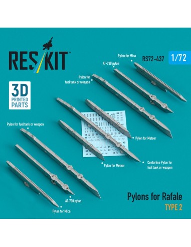 Pylons for Rafale type 2 (3D Printed) 