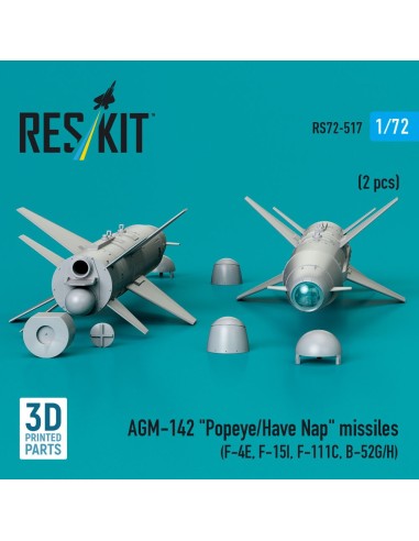 AGM-142 Popeye/Have Nap missiles (2 pcs) (F-4E, F-15I, F-111C, B-52G/H) (3D Printed) 