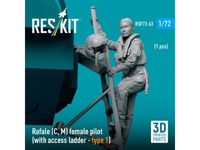Rafale (C, M) female pilot (with access ladder - type 1) (1 pcs) (3D Printed) 