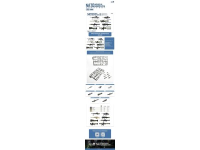 NATO Individual Weapon Set B(A kit incl.2pcs of each weapon 