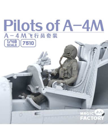 Pilots of A-4M 