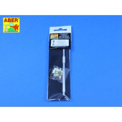Armament for T10-M 