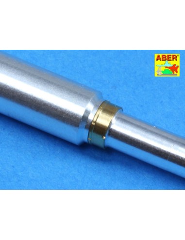 Armament for T10-M 