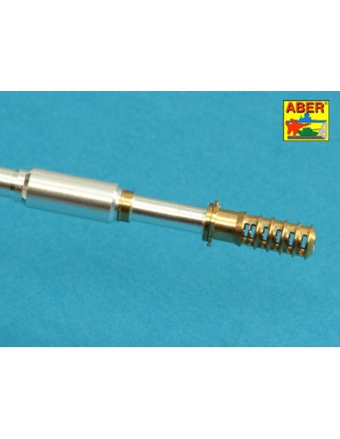 Armament for T10-M 