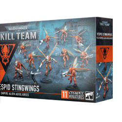KILL TEAM DE FRELONS VESPIDES - Vespid Stingwings 2