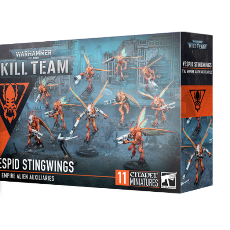 KILL TEAM DE FRELONS VESPIDES