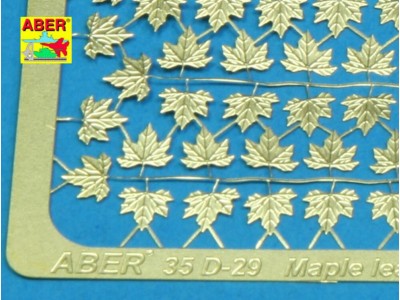 Maple leaves 