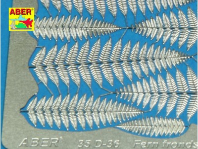Fern fronds 