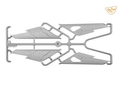 MiG-19P 