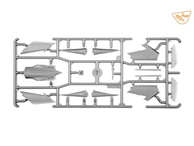 MiG-19P 