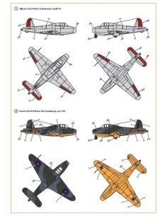 Gloster E28/39 Pioneer decal set  2