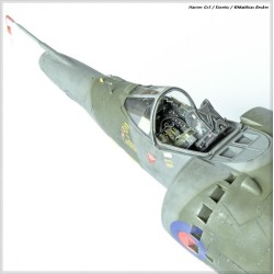 HARRIER GR1/GR3 