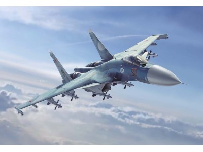 SU-33 Sea Flanker 