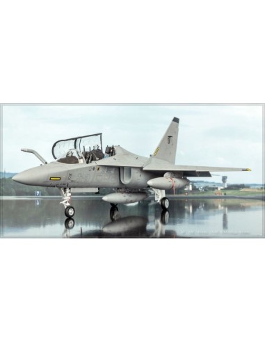 Alenia M346 