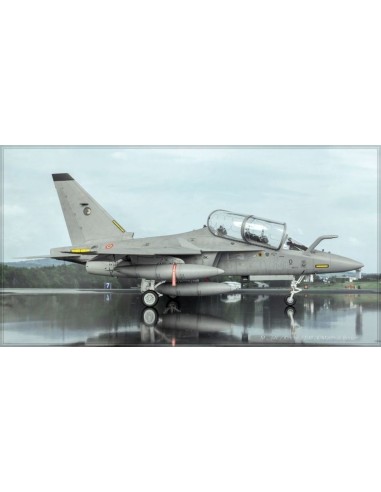 Alenia M346 