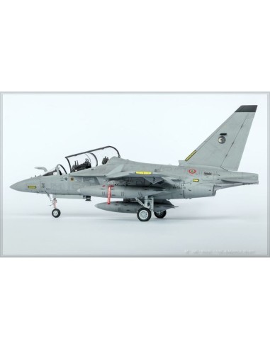 Alenia M346 