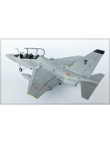 Alenia M346 