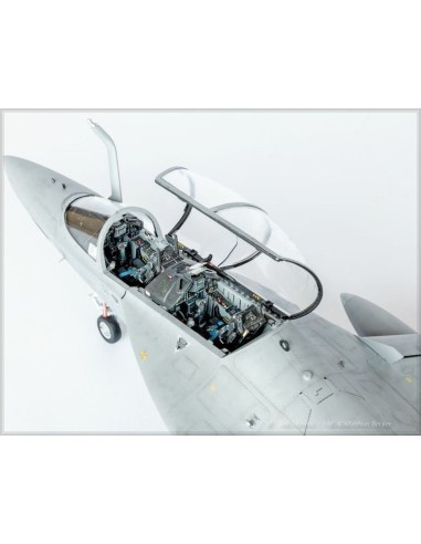 Alenia M346 
