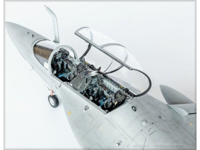 Alenia M346 
