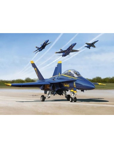 USN BLUE ANGLE 2017 F/A-18A/B/C/D 