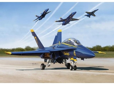 USN BLUE ANGLE 2017 F/A-18A/B/C/D 