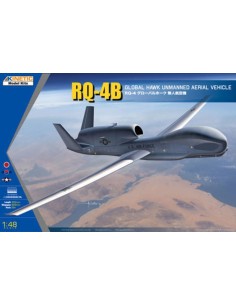 RQ-48 Global Hawk (US/Korea/Japan) 