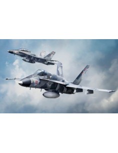 F/A-18A/D AGRESSOR 