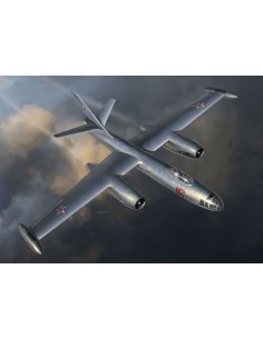 IL-28 