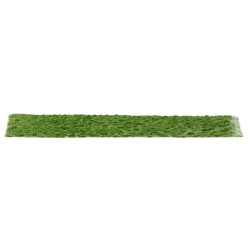 Realistic green moss 