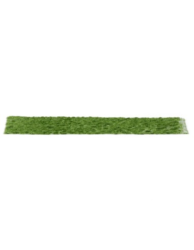 Realistic green moss 