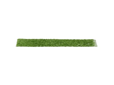 Realistic green moss 