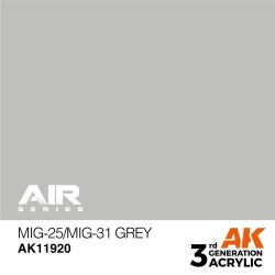 MiG-25/MiG-31 Grey  2