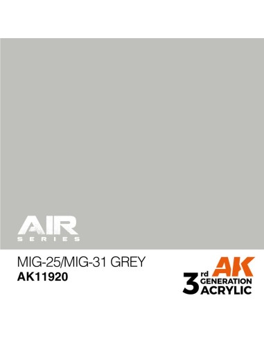 MiG-25/MiG-31 Grey 