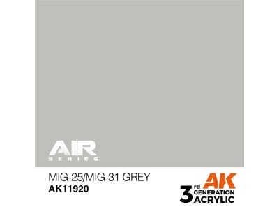 MiG-25/MiG-31 Grey 
