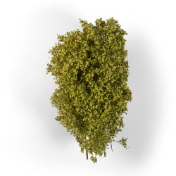 SPRING FILIGREE BUSHES 