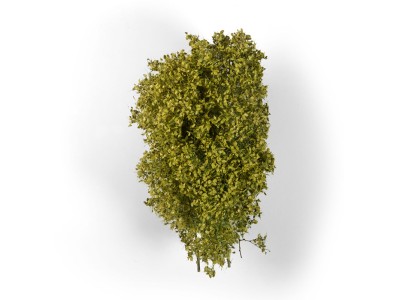 SPRING FILIGREE BUSHES 