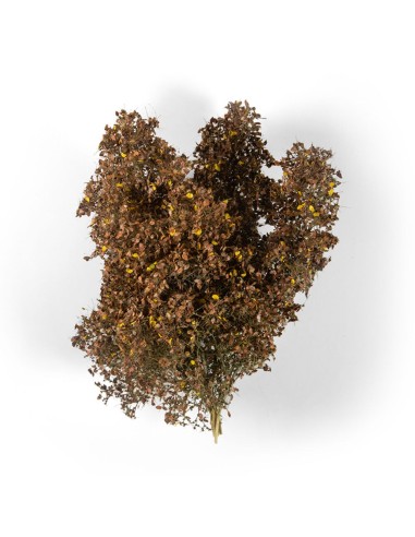 LATE FALL FILIGREE BUSHES 