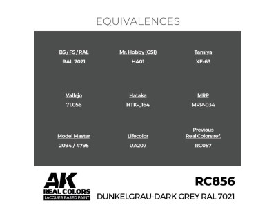 Real Colors: Dunkelgrau-Dark Grey RAL 7021 17 ml. 