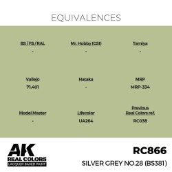 Real Colors: Silver Grey No.28 (BS381) 17 ml. 