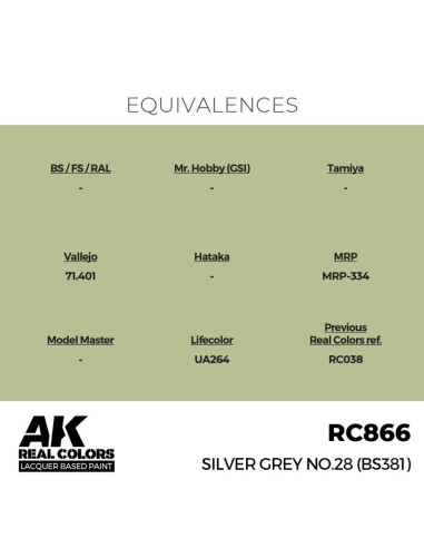 Real Colors: Silver Grey No.28 (BS381) 17 ml. 