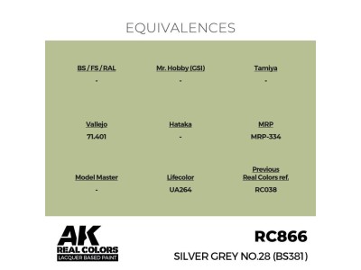Real Colors: Silver Grey No.28 (BS381) 17 ml. 