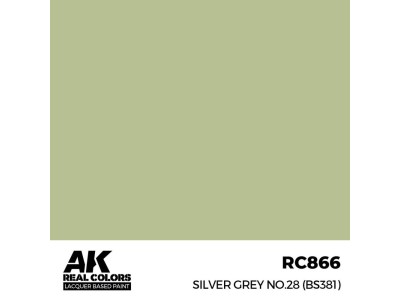 Real Colors: Silver Grey No.28 (BS381) 17 ml. 