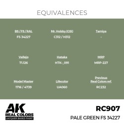 Real Colors: Pale Green FS 34227 17 ml. 