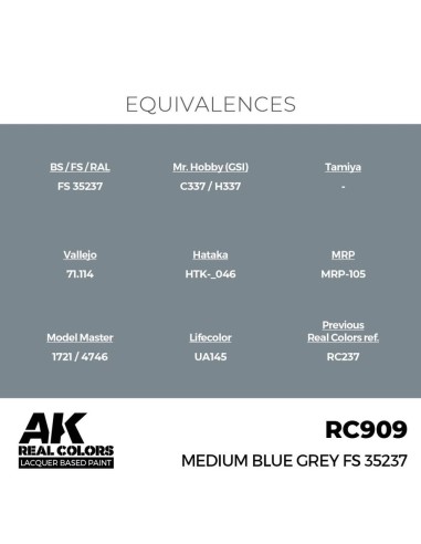 Real Colors: Medium Blue Grey FS 35237 17 ml. 